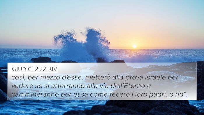 Giudici 2:22 RIV Bible Verse Image