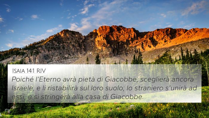 Isaia 14:1 RIV Bible Verse Image