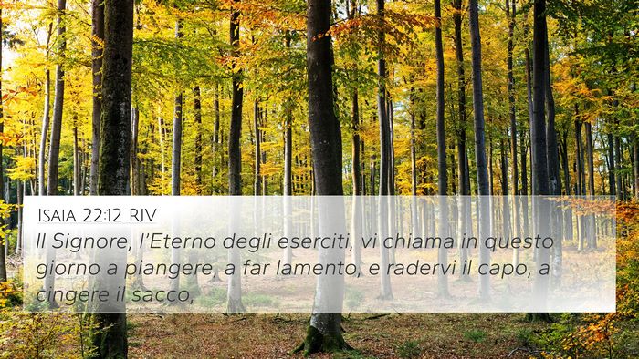 Isaia 22:12 RIV Bible Verse Image