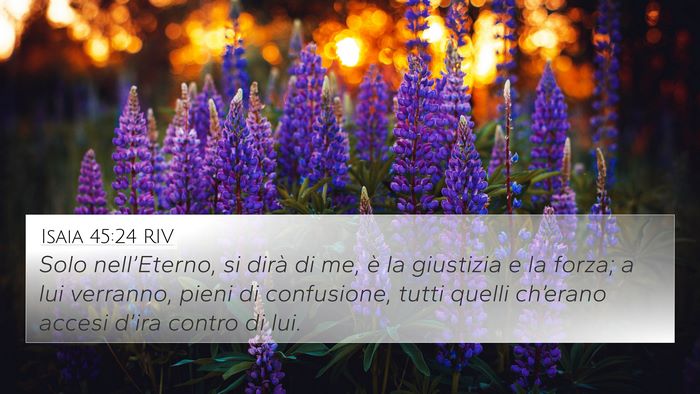 Isaia 45:24 RIV Bible Verse Image