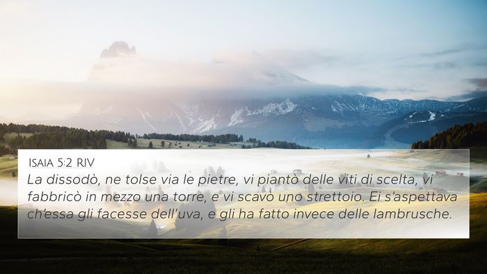 Isaia 5:2 RIV Bible Verse Image