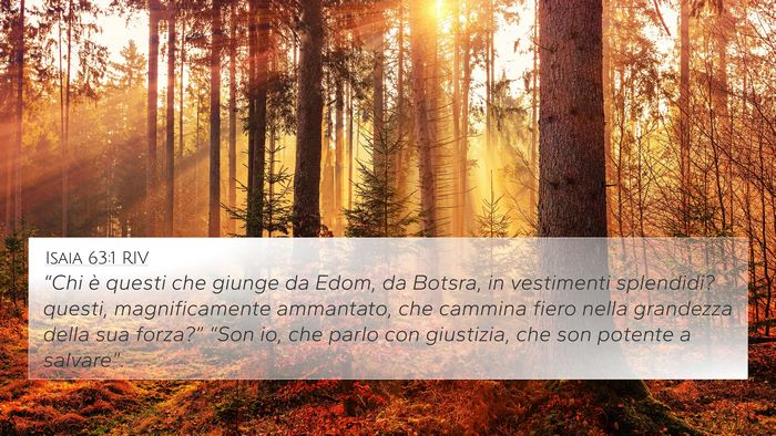 Isaia 63:1 RIV Bible Verse Image