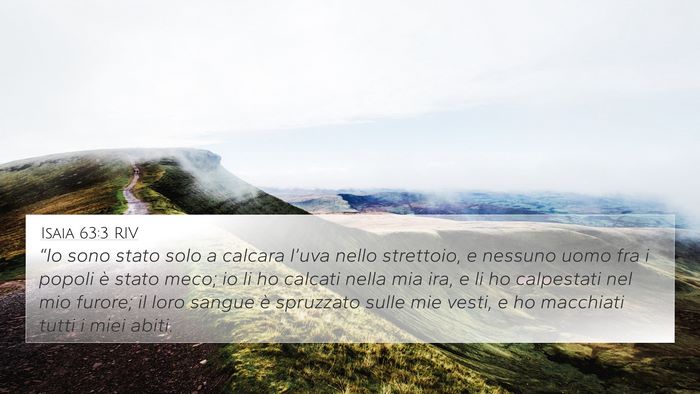 Isaia 63:3 RIV Bible Verse Image