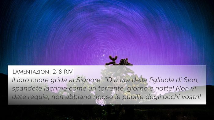 Lamentazioni 2:18 RIV Bible Verse Image