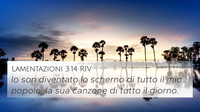 Lamentazioni 3:14 RIV Bible Verse Image