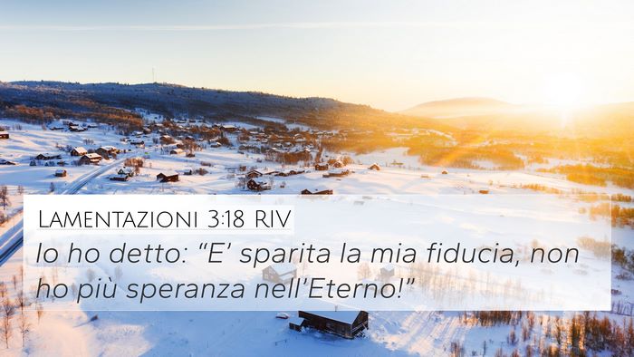Lamentazioni 3:18 RIV Bible Verse Image