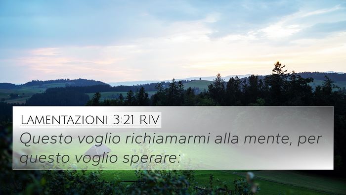 Lamentazioni 3:21 RIV Bible Verse Image