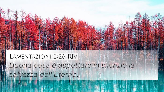 Lamentazioni 3:26 RIV Bible Verse Image