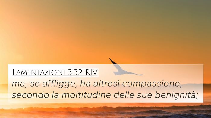 Lamentazioni 3:32 RIV Bible Verse Image