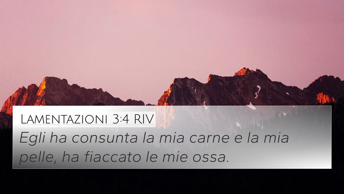 Lamentazioni 3:4 RIV Bible Verse Image