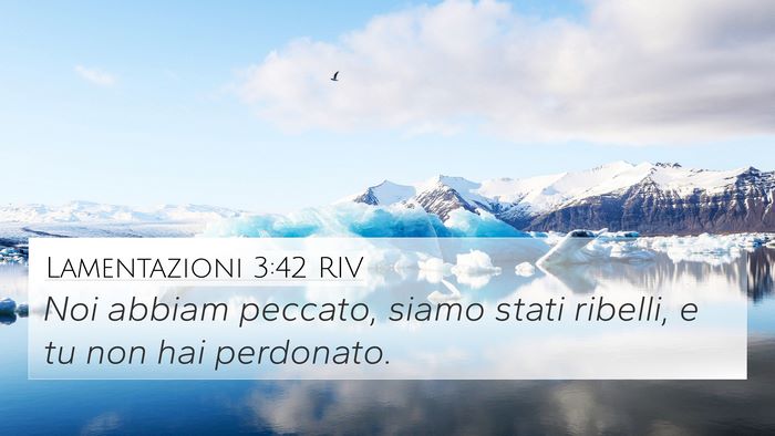 Lamentazioni 3:42 RIV Bible Verse Image