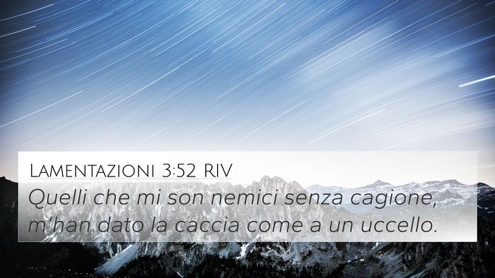 Lamentazioni 3:52 RIV Bible Verse Image