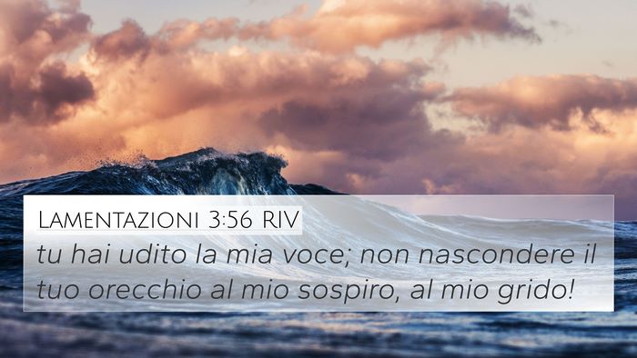 Lamentazioni 3:56 RIV 4K Wallpaper - tu hai udito la mia voce; non nascondere il tuo - 4K Wallpaper Bible Verse