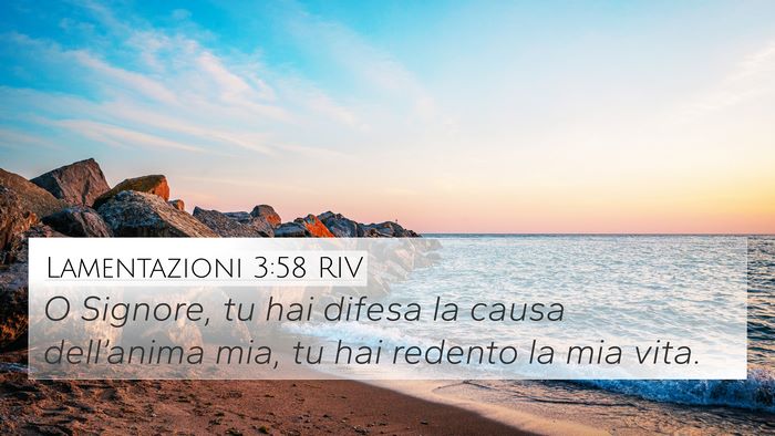 Lamentazioni 3:58 RIV Bible Verse Image
