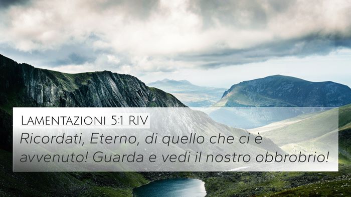 Lamentazioni 5:1 RIV Bible Verse Image