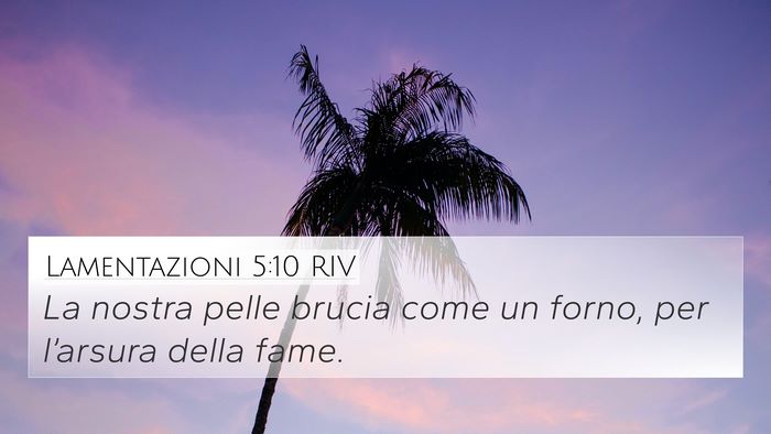 Lamentazioni 5:10 RIV Bible Verse Image