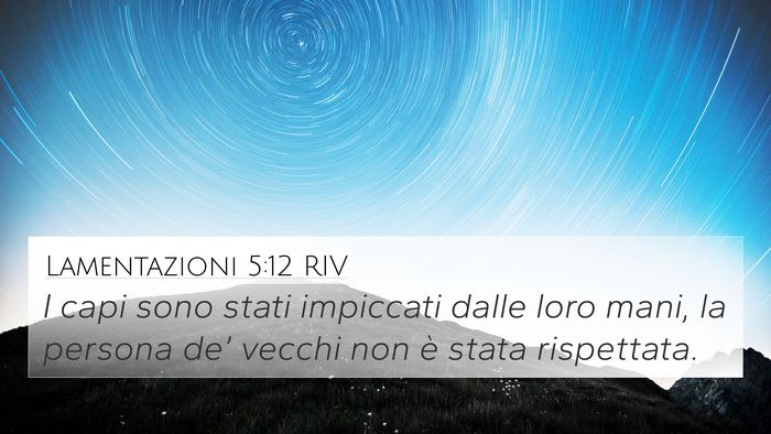 Lamentazioni 5:12 RIV Bible Verse Image