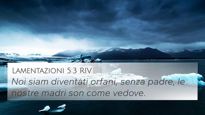 Lamentazioni 5:3 RIV Bible Verse Image