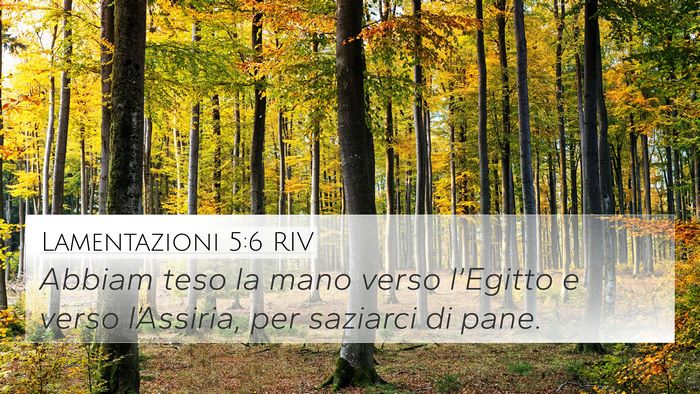 Lamentazioni 5:6 RIV Bible Verse Image