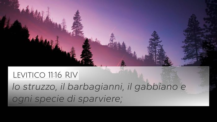 Levitico 11:16 RIV 4K Wallpaper - lo struzzo, il barbagianni, il gabbiano e ogni - 4K Wallpaper Bible Verse