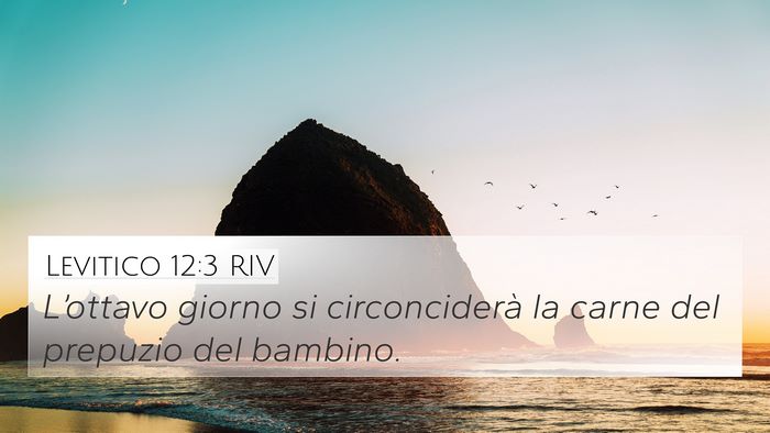 Levitico 12:3 RIV Bible Verse Image