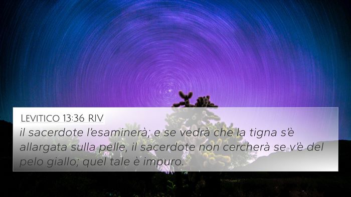 Levitico 13:36 RIV 4K Wallpaper - il sacerdote l’esaminerà; e se vedrà che la - 4K Wallpaper Bible Verse
