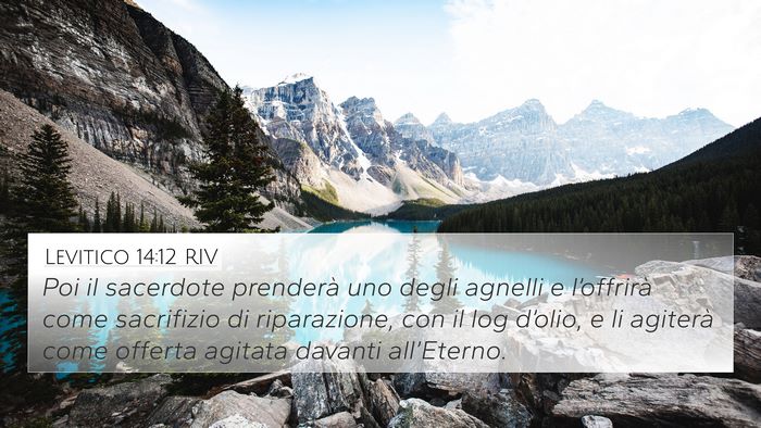 Levitico 14:12 RIV Bible Verse Image