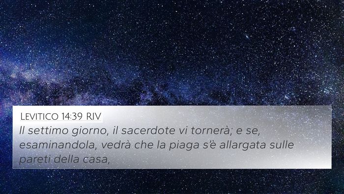 Levitico 14:39 RIV 4K Wallpaper - Il settimo giorno, il sacerdote vi tornerà; e - 4K Wallpaper Bible Verse