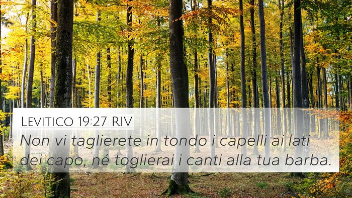 Levitico 19:27 RIV Bible Verse Image