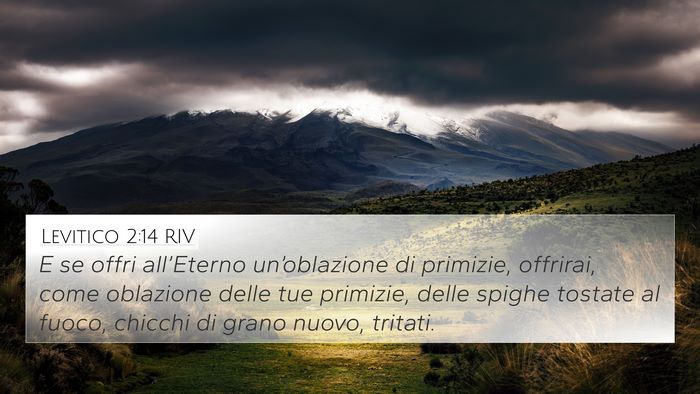 Levitico 2:14 RIV Bible Verse Image