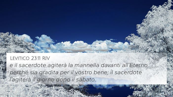 Levitico 23:11 RIV 4K Wallpaper - e il sacerdote agiterà la mannella davanti - 4K Wallpaper Bible Verse