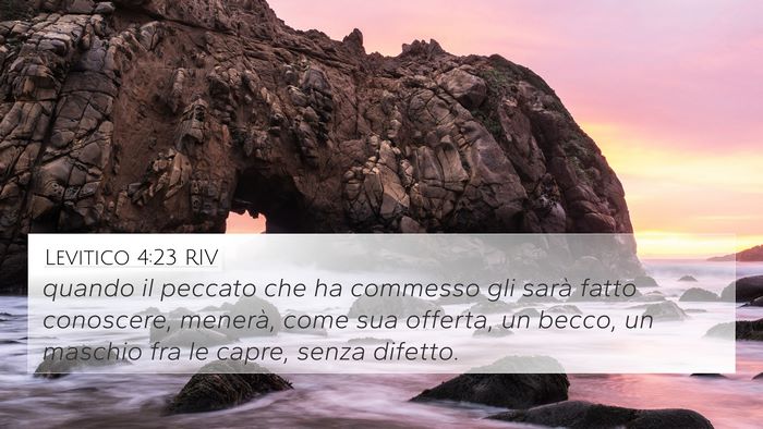 Levitico 4:23 RIV Bible Verse Image