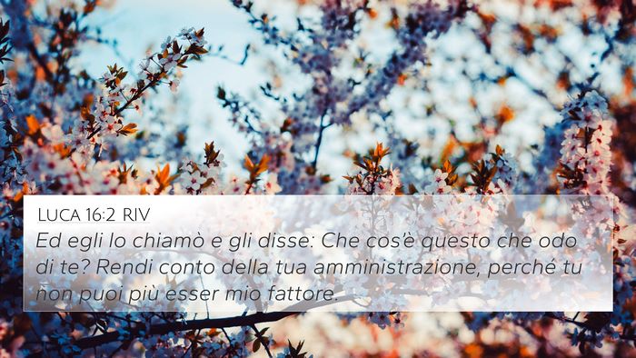 Luca 16:2 RIV Bible Verse Image