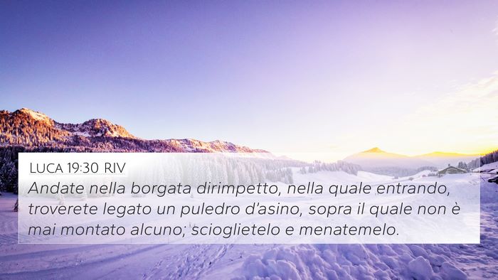 Luca 19:30 RIV Bible Verse Image