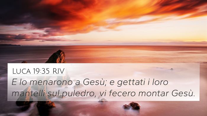 Luca 19:35 RIV Bible Verse Image
