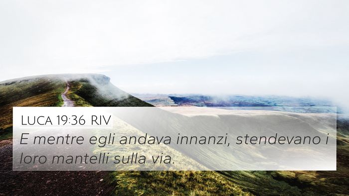 Luca 19:36 RIV 4K Wallpaper - E mentre egli andava innanzi, stendevano i loro - 4K Wallpaper Bible Verse