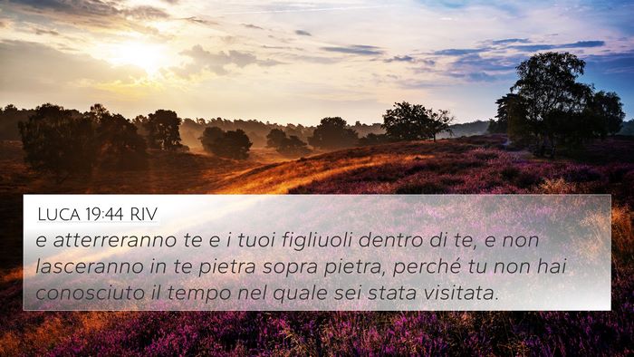 Luca 19:44 RIV Bible Verse Image