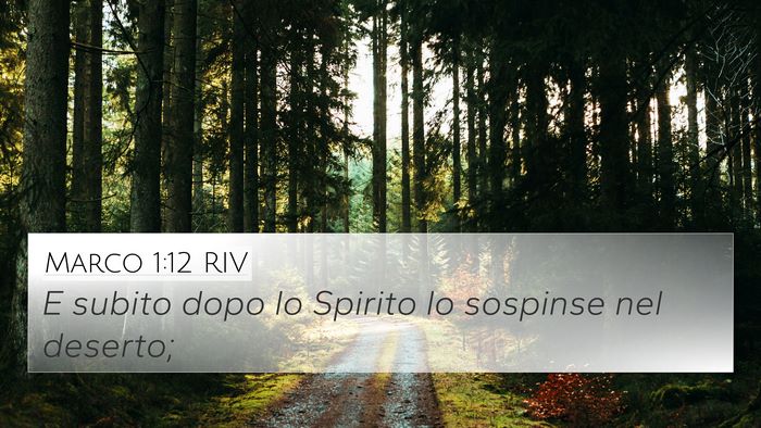 Marco 1:12 RIV 4K Wallpaper - E subito dopo lo Spirito lo sospinse nel - 4K Wallpaper Bible Verse
