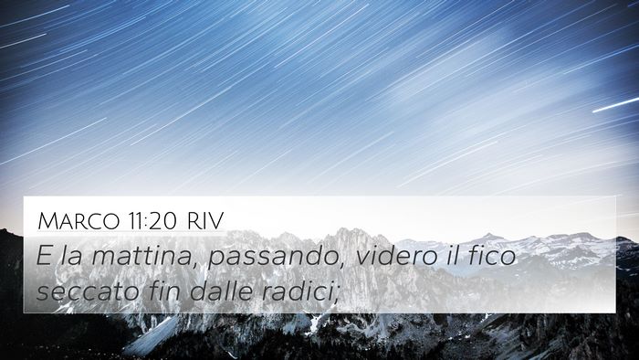 Marco 11:20 RIV Bible Verse Image