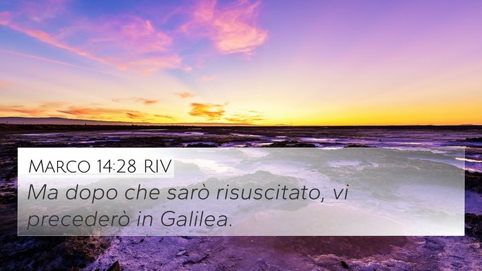 Marco 14:28 RIV Bible Verse Image