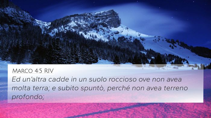 Marco 4:5 RIV 4K Wallpaper - Ed un’altra cadde in un suolo roccioso ove non - 4K Wallpaper Bible Verse