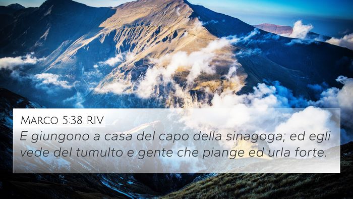 Marco 5:38 RIV Bible Verse Image