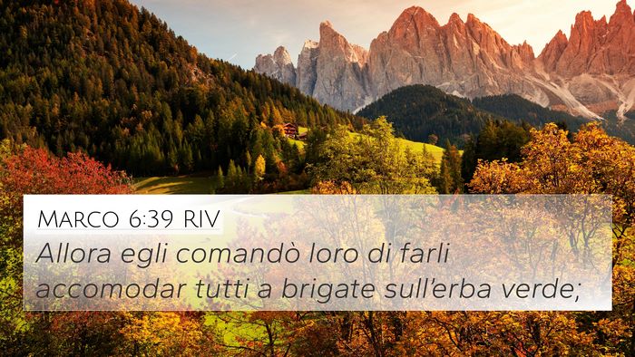Marco 6:39 RIV Bible Verse Image