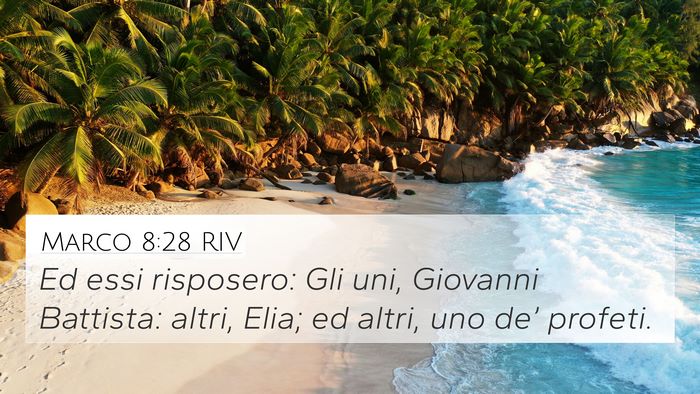 Marco 8:28 RIV Bible Verse Image