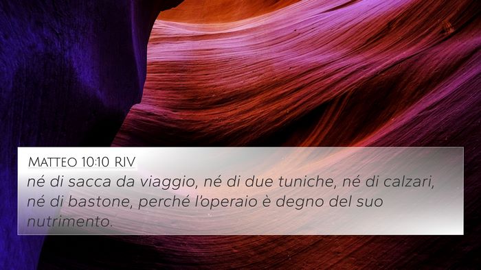 Matteo 10:10 RIV Bible Verse Image