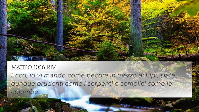 Matteo 10:16 RIV Bible Verse Image