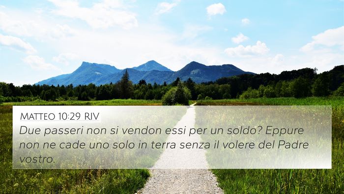 Matteo 10:29 RIV Bible Verse Image
