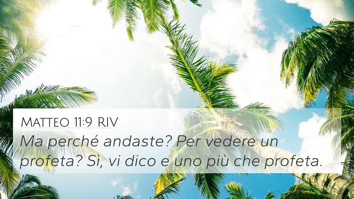 Matteo 11:9 RIV 4K Wallpaper - Ma perché andaste? Per vedere un profeta? Sì, - 4K Wallpaper Bible Verse