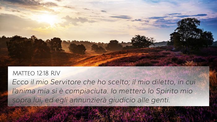 Matteo 12:18 RIV Bible Verse Image