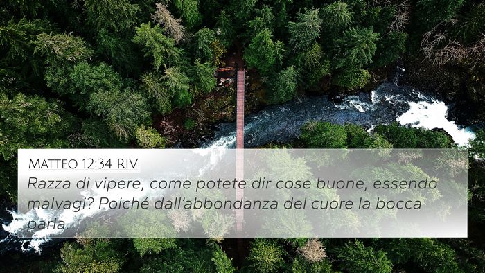Matteo 12:34 RIV Bible Verse Image